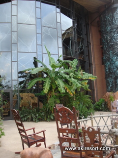 Storytelling firepit and picture window